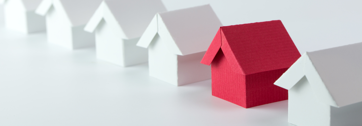 Squirrel Investor Tony Alexander