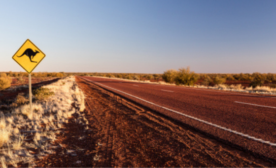 Can I Use My NZ Driver's Licence in Australia?